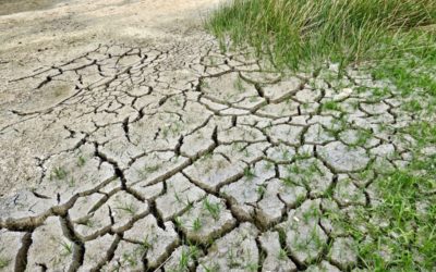 17 de junio: Día Mundial de la lucha contra la Desertificación y la Sequía