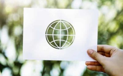 Conservación de los ecosistemas: Servicios ecosistémicos