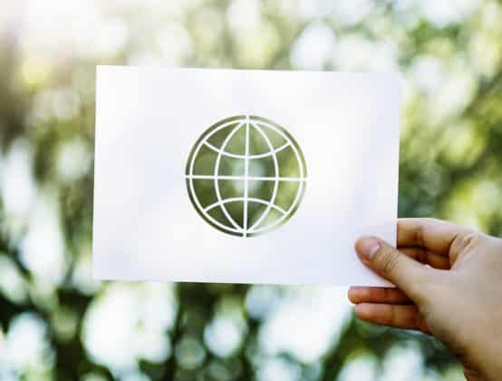 Conservación de los ecosistemas: Servicios ecosistémicos